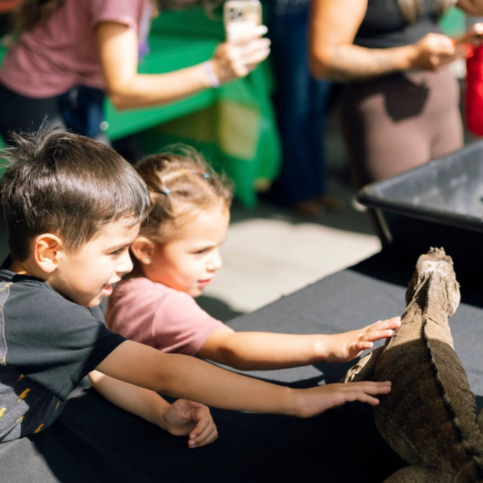 Two children reach out to touch a large tortoise at an outdoor animal exhibit while adults watch nearby.